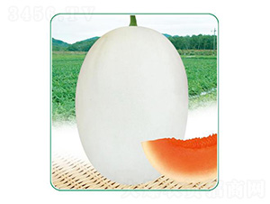 �t���-��ϷN��-��̩�_(d��)