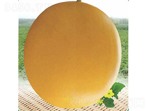 �t�����-��ϷN��-��̩�_(d��)