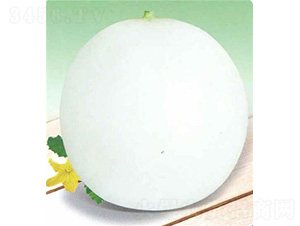 �������-��ϷN��-��̩�_(d��)