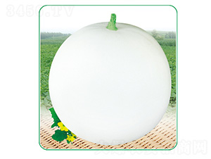 ����2̖-��ϷN��-��̩�_