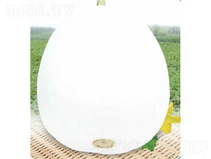 �״������-��ϷN��-��̩�_(d��)