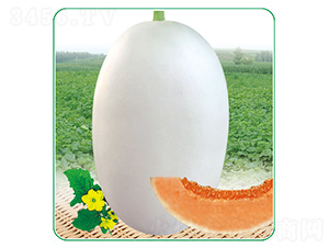 �״���-��ϷN��-��̩�_(d��)