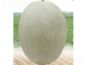 ��̩�۶�̖(h��o)-��ϷN��-��̩�_(d��)