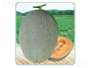 ��̩��25-��ϷN��-��̩�_