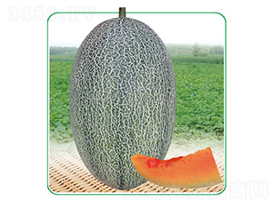 ��̩��17-��ϷN��-��̩�_(d��)