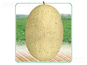 ��̩��4̖(h��o)-��ϷN��-��̩�_(d��)