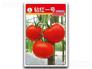 �@�tһ̖-���ѷN��-�d�߷N�I(y��)