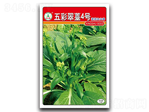 ��ʴ�̦4̖(h��o)-��̦�N��-�d�߷N�I(y��)