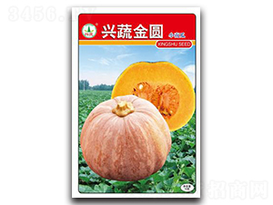 �d�߽��A-�ϹϷN��-�d�߷N�I(y��)