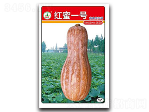 �d�߼t��1̖-�ϹϷN��-�d�߷N�I(y��)