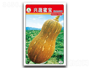 �d���ی�-�ϹϷN��-�d�߷N�I(y��)