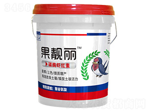 ̼ø�r�t��-���n��-���S����