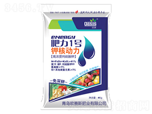 �ߝ�ȼ������-����1̖-�Wِ˹