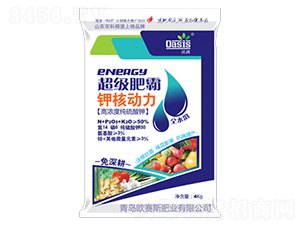 ���ޛ_ʩ��-⛺˄���-�Wِ˹