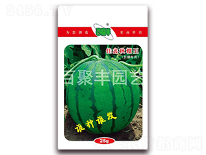 ����������-���ϷN��-�پ��S