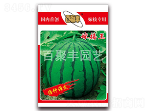 �޽���-���ϷN��-�پ��S