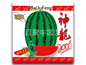 ����2008-���ϷN��-�پ��S