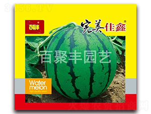 ��������-���ϷN��-�پ��S