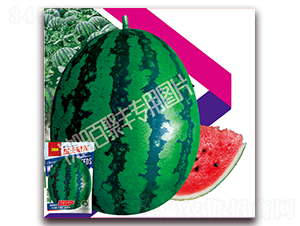 ������܊-���ϷN��-�پ��S