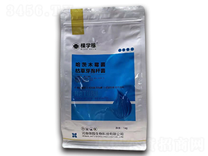 ����ľù��+�ݲ�ѿ�ߗU��-�ÌW��