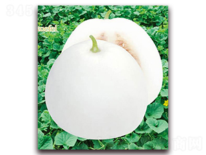 ��ѩ����F1-��ϷN��-�A�r(n��ng)�N�I(y��)