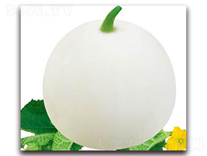 ��ɳ��F1-��ϷN��-�A�r(n��ng)�N�I(y��)