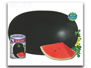 ���ޡ��ڱ�-���ϷN��-�A�r(n��ng)�N�I(y��)