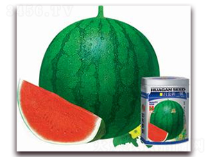 ������һ̖-���ϷN��-�A�r(n��ng)�N�I(y��)