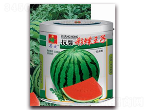 ���Ѳʵ�����-���ϷN��-�A�r(n��ng)�N�I(y��)