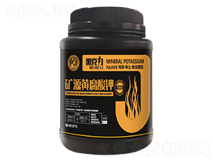 �VԴ�S�����-�ڿ���-�η�