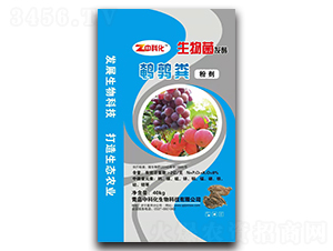 �g���S�ۄ�-�пƻ�