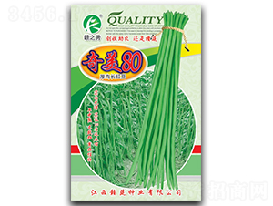 ����80-�����N��-�M�߷N�I(y��)