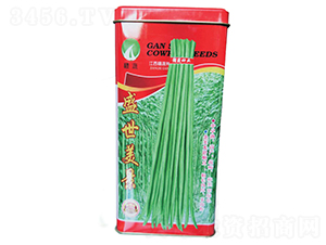 ʢ������-�����N��-�M�߷N�I(y��)