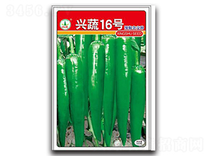 �d��16̖-�����N��-�d�߷N�I(y��)