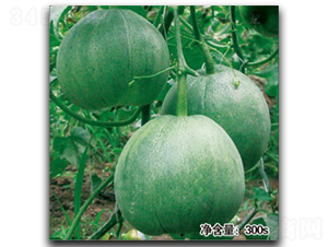 �G���-��ϷN��-�մ��r(n��ng)�I(y��)