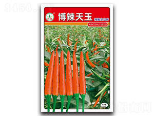 ��������-�����N��-�d�߷N�I(y��)