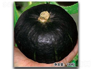 ��С��-�ϹϷN��-�մ��r(n��ng)�I(y��)