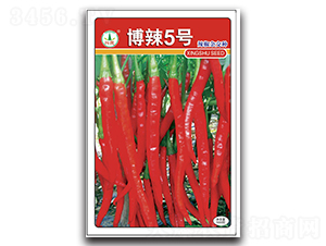 ����5̖-�����N��-�d�߷N�I(y��)