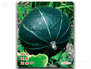 �ڝM�@-�ϹϷN��-�մ��r(n��ng)�I(y��)