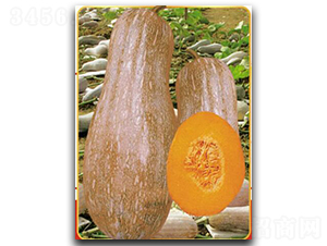 ����ܱ�-�ϹϷN��-�մ��r(n��ng)�I(y��)