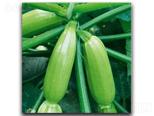 ������-�����J�N��-�մ��r(n��ng)�I(y��)