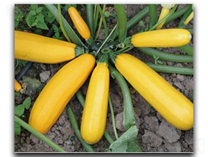 ������̖(h��o)-�����J�N��-�մ��r(n��ng)�I(y��)