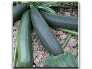 ������̖(h��o)-�����J�N��-�մ��r(n��ng)�I(y��)