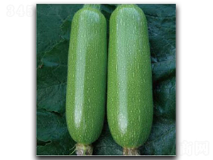 ������̖(h��o)-�����J�N��-�մ��r(n��ng)�I(y��)