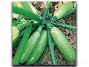 ������̖(h��o)-�����J�N��-�մ��r(n��ng)�I(y��)