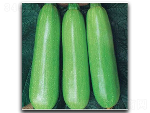 ��������-�����J�N��-�մ��r(n��ng)�I(y��)