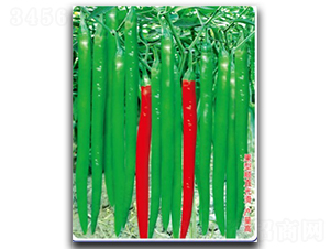 ���S��̖-�����N��-�մ��r(n��ng)�I(y��)