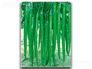 ���L������30̖-�����N��-�մ��r(n��ng)�I(y��)