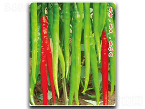 �S����(y��u)��̖-�����N��-�մ��r(n��ng)�I(y��)