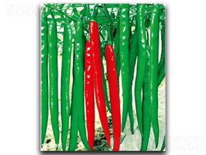 ����(y��u)��̖-�����N��-�մ��r(n��ng)�I(y��)